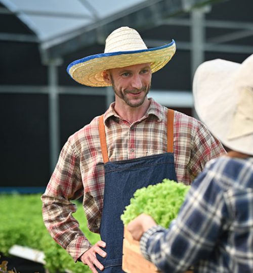 v&v web honnan és kinek 2